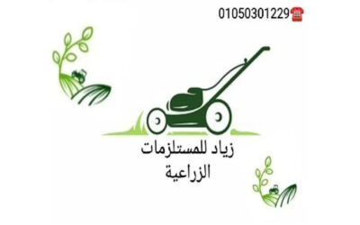 زياد