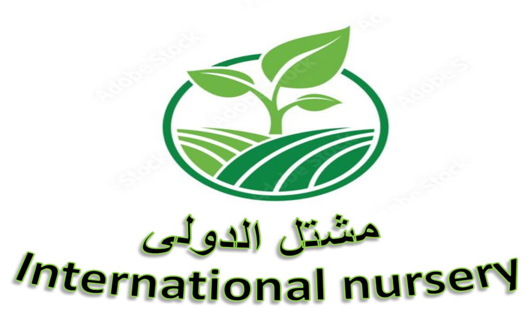 مشتل الدولي